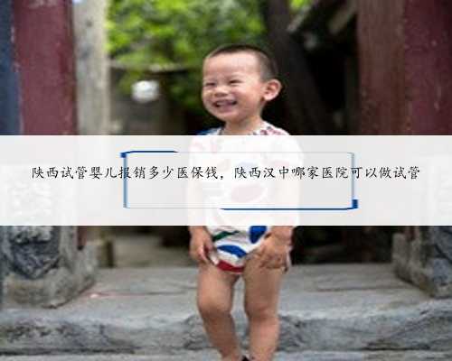 陕西试管婴儿报销多少医保钱，陕西汉中哪家医院可以做试管