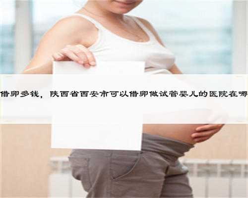 陕西借卵多钱，陕西省西安市可以借卵做试管婴儿的医院在哪里？