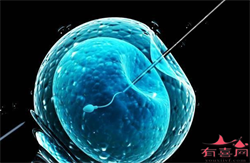 西安怎么买卵子，2022年在陕西西安正规生殖机构的卵子库购买一颗卵细胞（卵