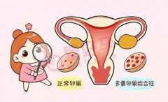 北京哪有代怀孕公司,北京供卵试管代怀生子医院名单公布，这三家医院榜上有